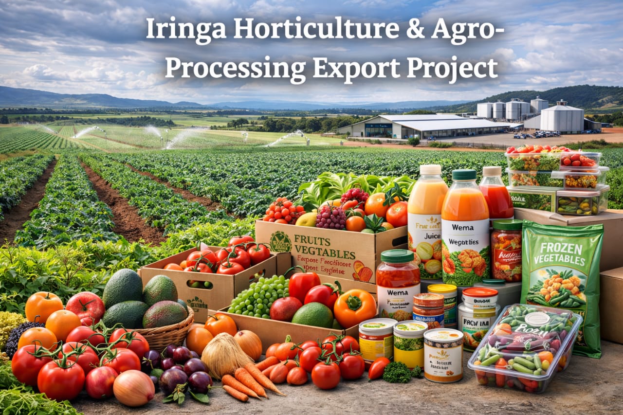 Iringa Stone Investment project image