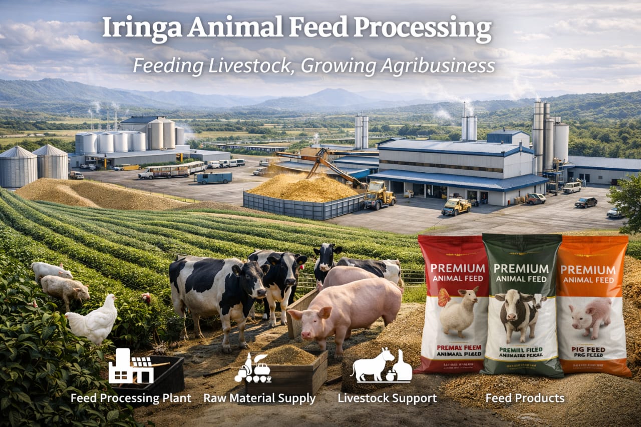 Iringa Stone Investment project image